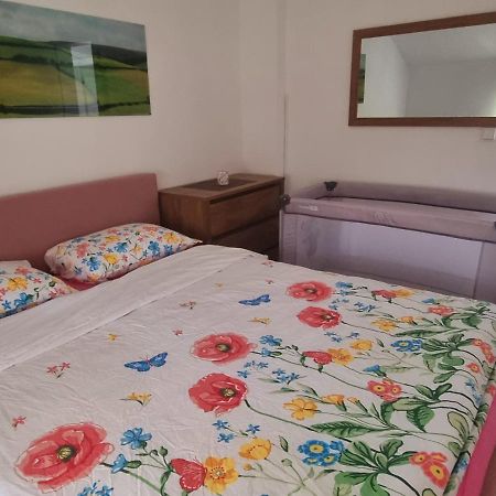 Apartmani Bilic 科雷尼察 外观 照片